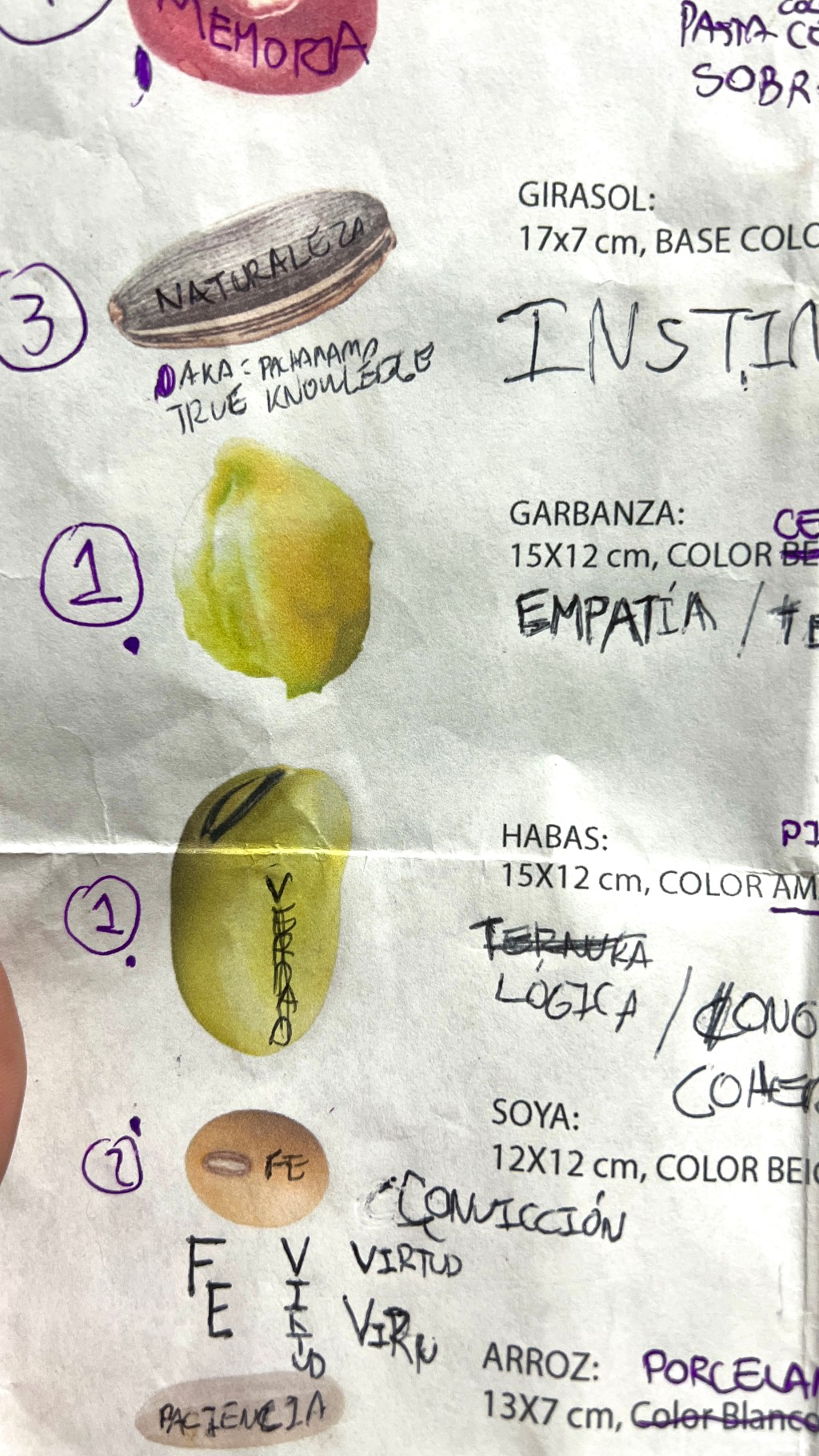 notas de campo